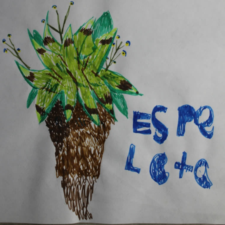 Arte 04 · Sin título