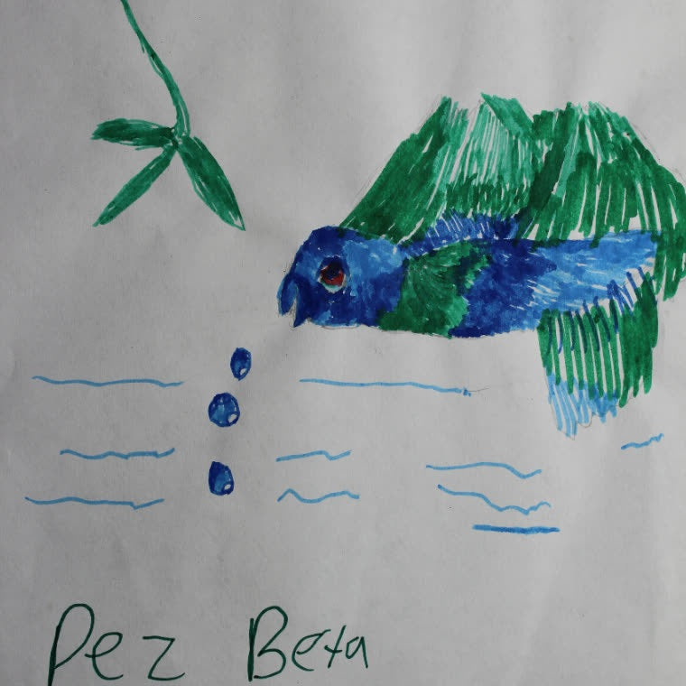 Arte 06 · Pez beta