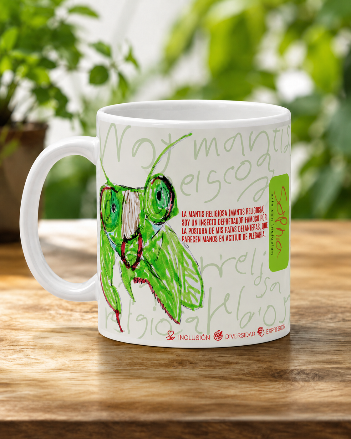 Pocillo · Mantis