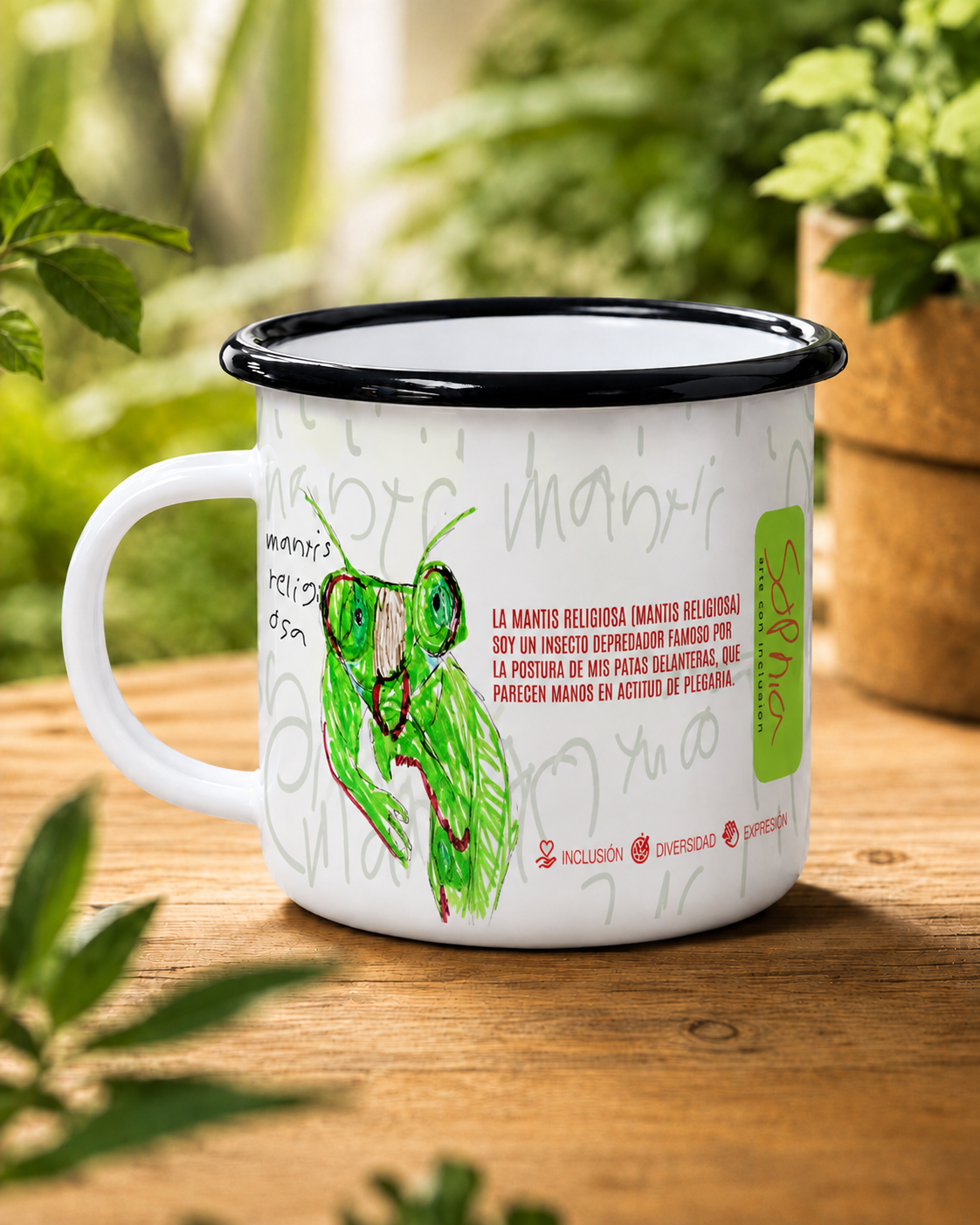 Pocillo Peltre · Mantis