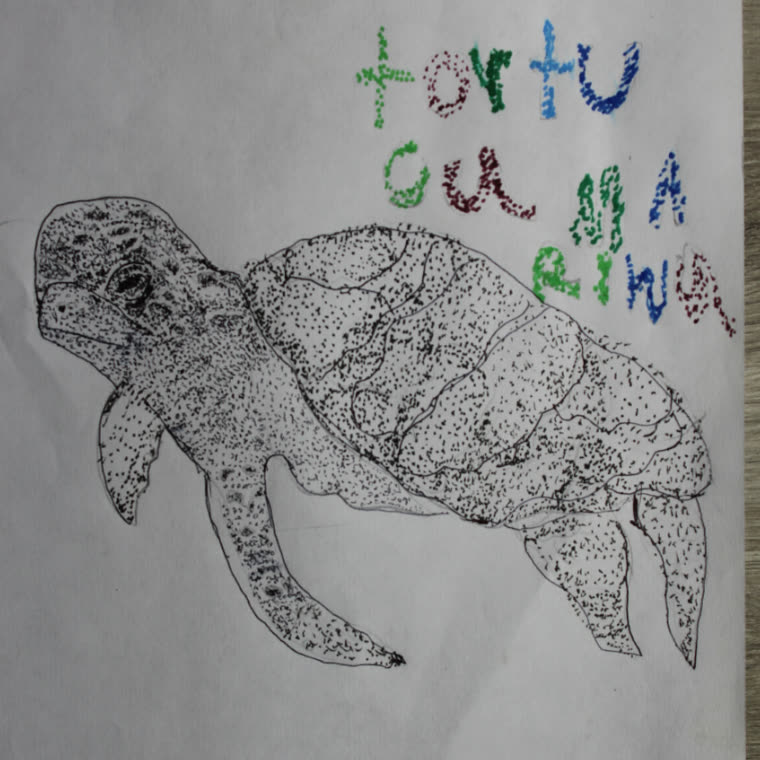Arte 07 · Tortuga marina