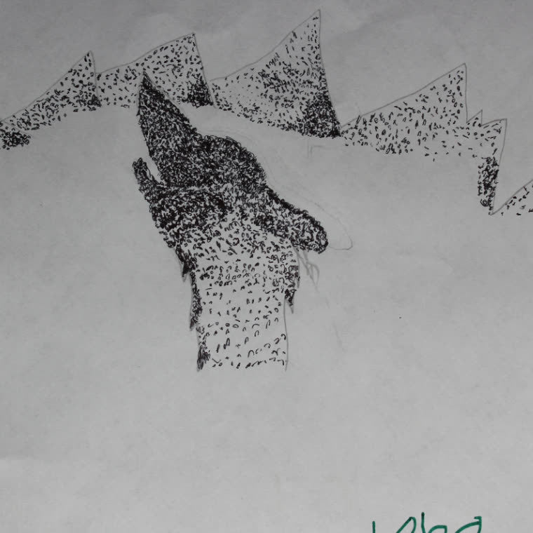 Arte 08 · Lobo