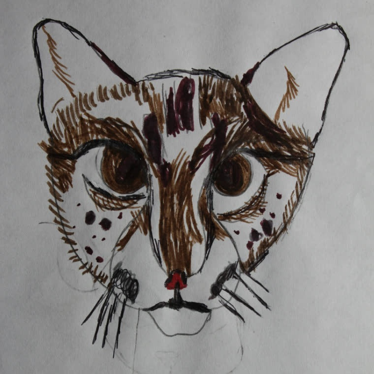 Arte 09 · Tigrilla